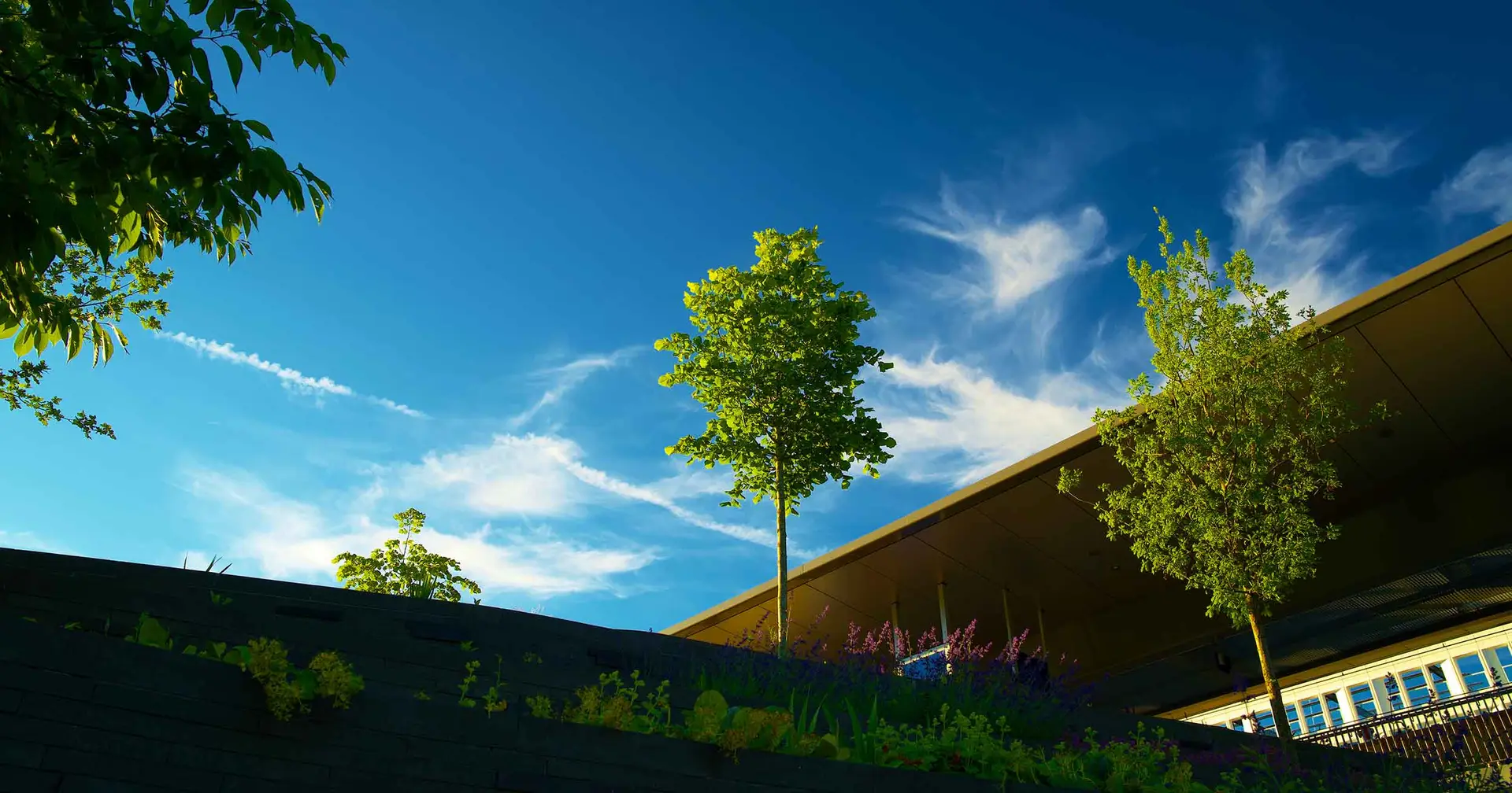 Oakwell: Healthcare Sustainability and Real Estate Experts