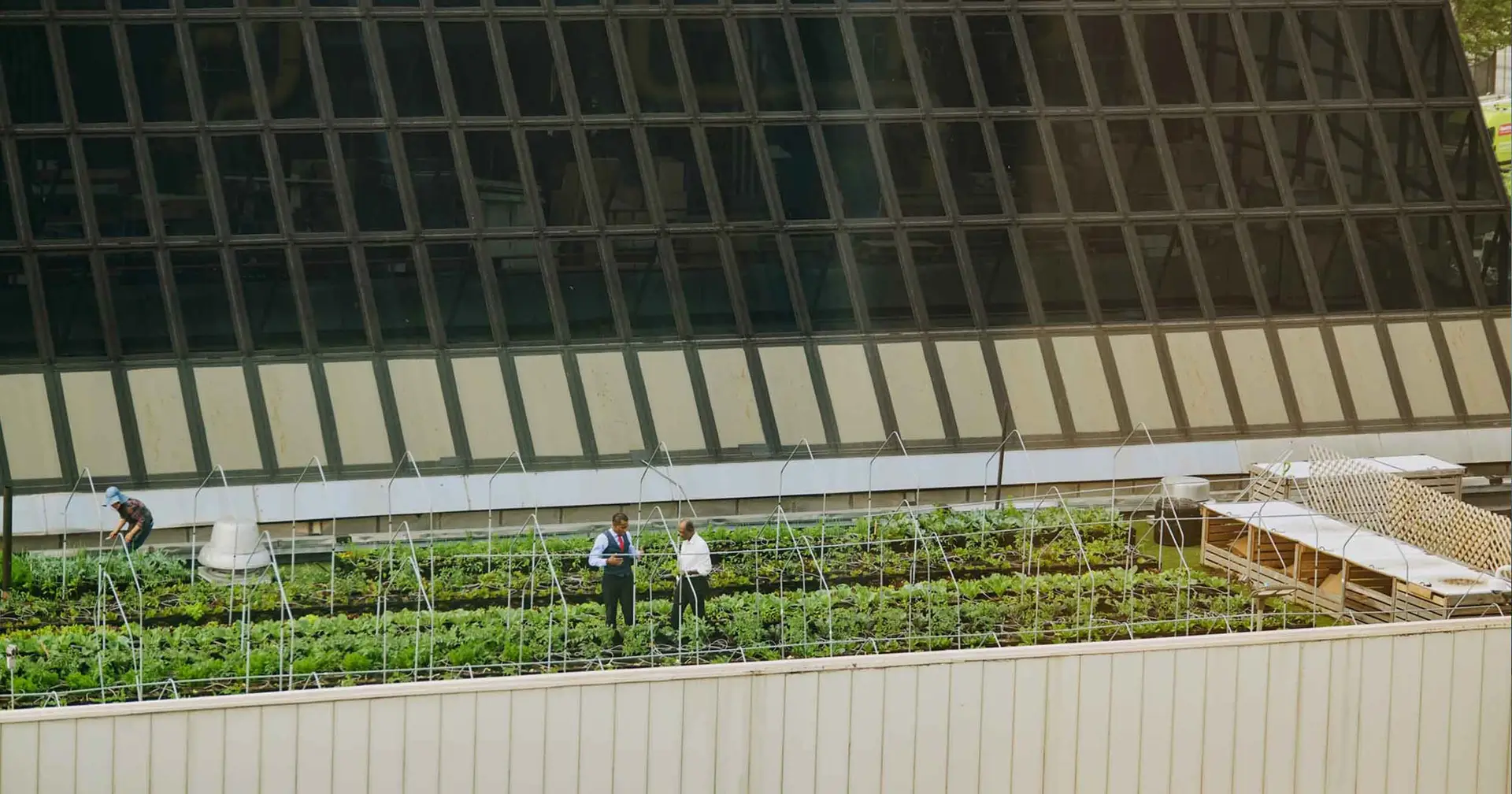 The Roadmap to Profitable Healthcare Sustainability Management